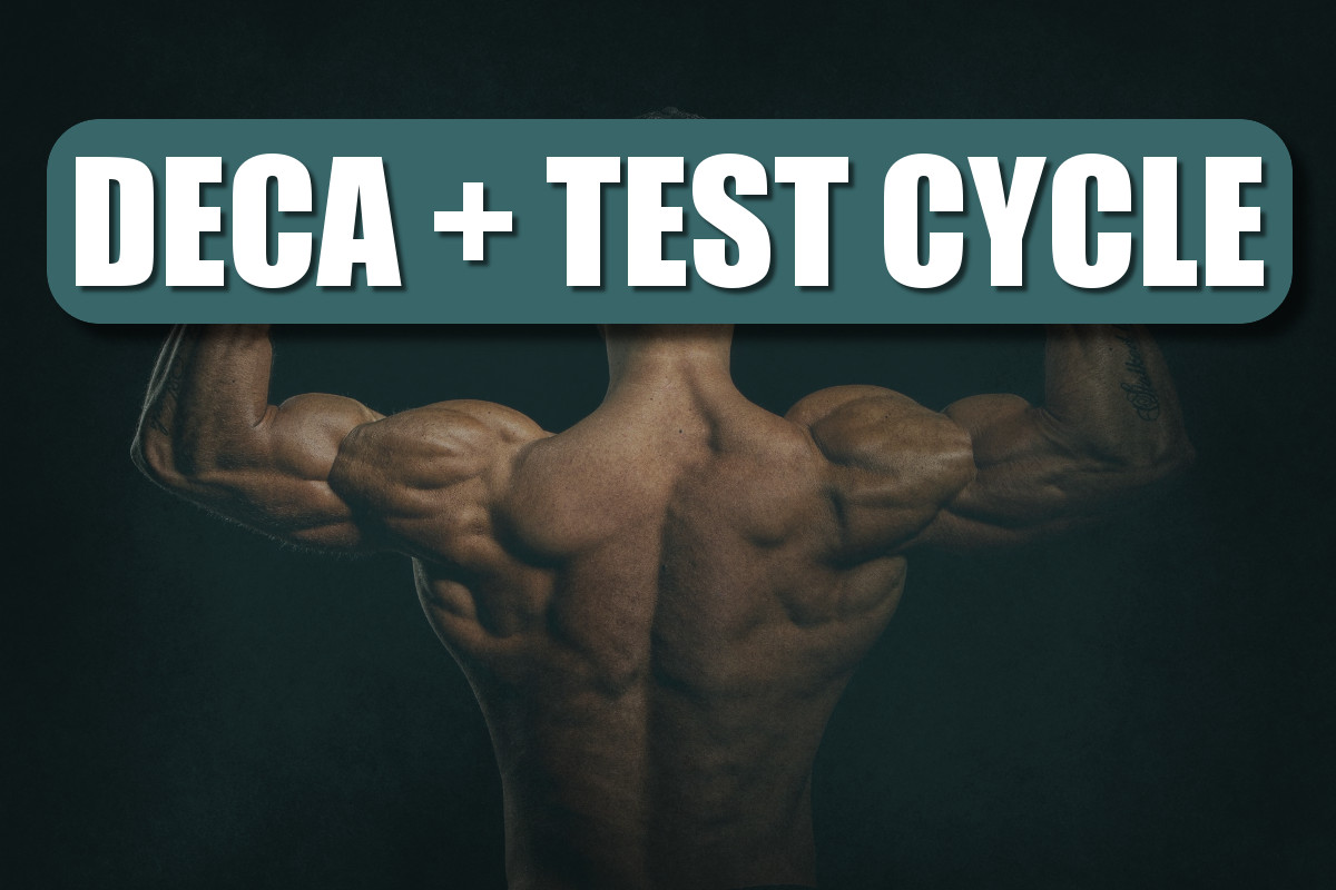Maximizing Gains with the Perfect Test Deca Cycle